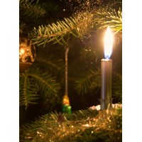 Ель РОЖДЕСТВЕНСКАЯ 230 см.